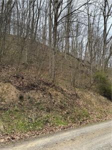 0 Coal Bank Hollow Rd, Ford City, Pennsylvania 16226, USA