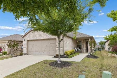 1217 Revolution Drive, Little Elm, Texas 76227, Estados Unidos