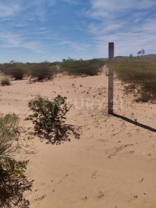 lote 43 lote 43,, Juárez, Chihuahua 32599, Mexiko