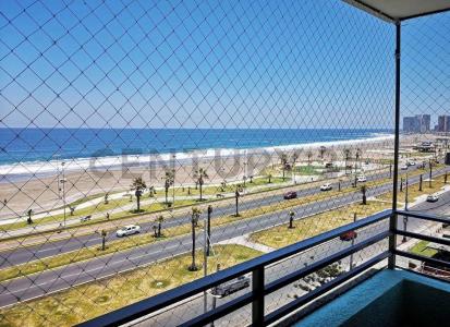 Iquique, Tarapacá 00001, Chile