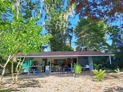 Playa Negra , Puerto Viejo Talamanca, Limón 00001, كوستاريكا 