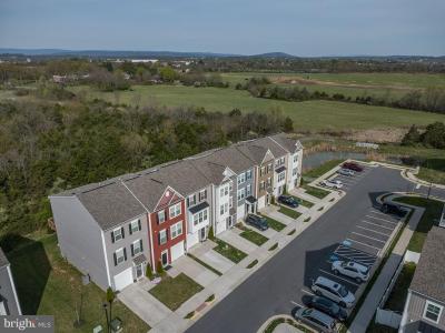 114 Metcalf Terrace, Winchester, Virginie 22602, États-Unis