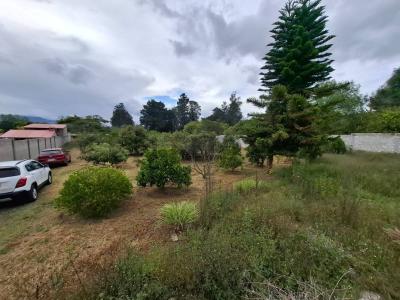 urbanizacion Bello Horizonte 2 s/n, Quito, Pichincha 00001, Ecuador