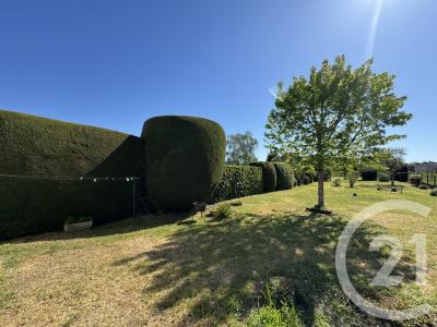 Chateauroux, סאנטר 36000, צרפת 