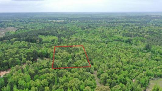 0000 County Road 4346-A, Bivins, Texas 75555, États-Unis