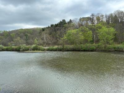 Ohio River Blvd, New Cumberland, West Virginia 26047, Stati Uniti