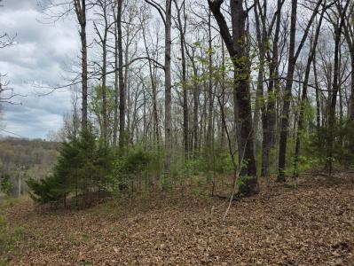 000 Farm Road 2280, Golden, Missouri 65658, USA