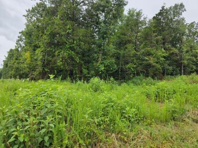 Lot 261 Saratoga/Elm, Shell Knob, Missouri 65747, États-Unis