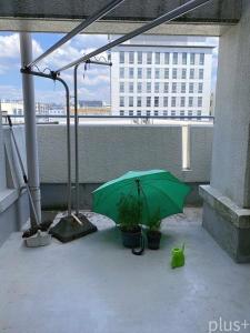 西京極豆田町, パークテラス西京極, 京都市右京区, Kyoto 615-0801, Nhật Bản