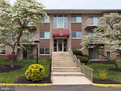 7060 Eastern Avenue NW, واشنطن, Washington D.C. 20012, الولايات المتحدة