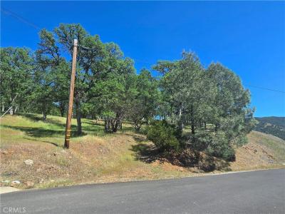3128 Wolf Creek Rd, Clearlake Oaks, California 95423, USA