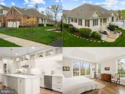 44568 Granite Run Terrace, Ashburn, Virginie 20147, États-Unis