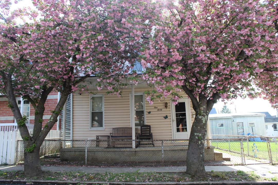 130 Oak St., Cumberland, Maryland 21502, HOA KỲ