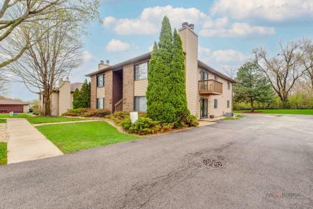 1115 Kane St 1115, South Elgin, Illinois 60177, USA