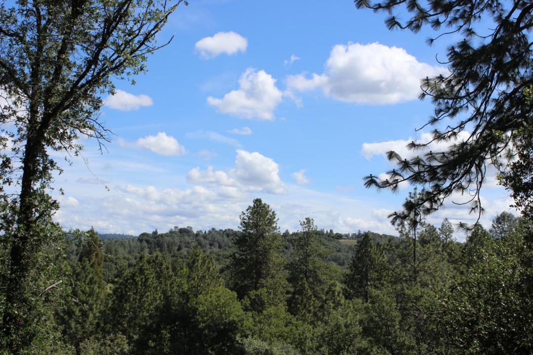 11448 Madrone Court, Auburn, California 95602, HOA KỲ