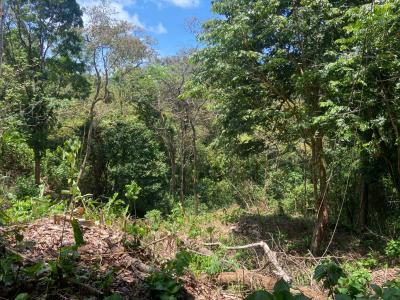 Manuel Antonio Quepos Quepos, Puntarenas 60601, Costa Rica