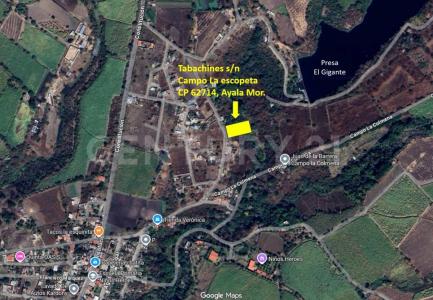 Tabachines S/N,, Ayala, Morelos 62714, México