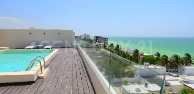 Progreso, Yucatan 97330, Messico