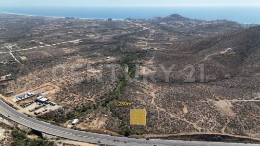 La Paz, Baja California Sur 23300, Mexico