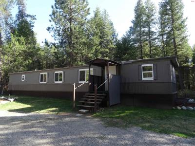 552 Outback Loop, Spirit Lake, Idaho 83869, USA