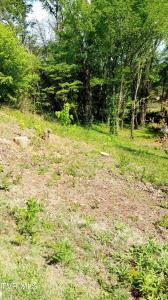 655 Sioux Trail, Greeneville, 田纳西州 37743, 美国