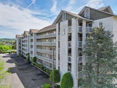 205 Ogle Drive, Pigeon Forge, Tennessee 37863, USA