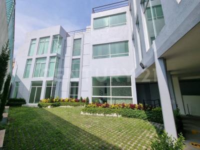 Andes 33, Int 1,, Alvaro Obregón, Ciudad De México 01010, Messico