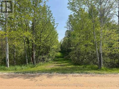 502774 SIDEROAD 9 WGR, West Grey, Ontario N0G 1R0, Canada