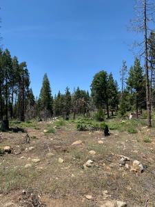 1 Shaver Lake, Shaver Lake, California 93602, USA