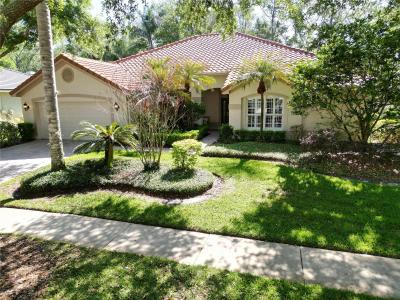 17803 Hickory Moss Place, Tampa, Florida 33647, USA