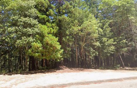1860 Clover Drive, Willits, California 95490, USA