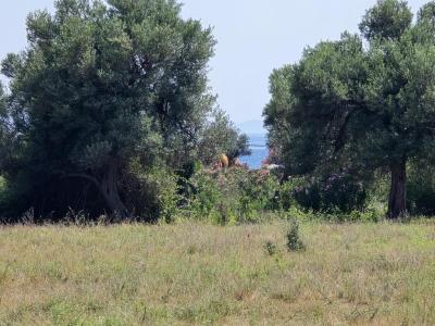Borsh, Sarande, Albania