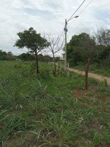 Puerto quijarro Lote 8, Este, Santa Cruz 00001, Bolivia