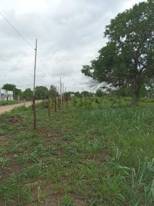 Puerto quijarro Lote 24, Este, Santa Cruz 00001, Bolivia