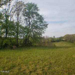 00 Loves Lane, Greeneville, Tennessee 37743, Estados Unidos