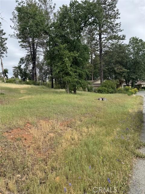 49 Carli, Para, California 95969