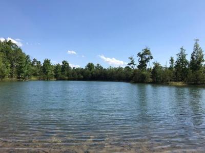 100 Bluff View Drive, Dunlap, Tennessee 37327, USA