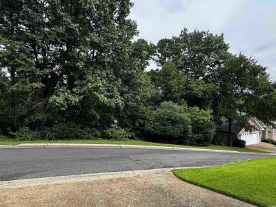 Lot 28 Forest View Circle, Hot Springs, Arkansas 71913, USA