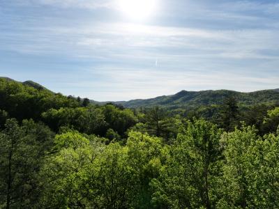 Lot 5 Dove View Road, Sevierville, 田纳西州 37862, 美国