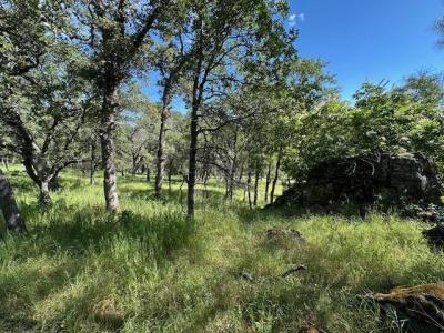 Redhill Way, Browns Valley, Califórnia 95918, Estados Unidos