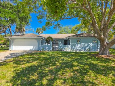5 Emerald Circle, Ormond Beach, Florida 32174, USA