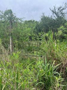 URBANIZACION SURUBI I 2 , Limpio, Central 00001, Paraguay