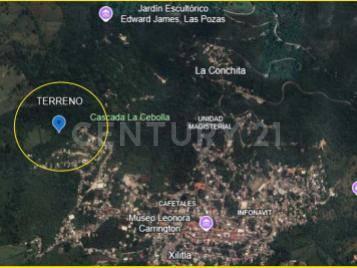 santa monica s/n,, Xilitla, San Luis Potosi 79900, Mexico