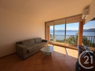 Patrimonio, Corse 20253, France