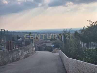 Via Vigolo, Negrar di Valpolicella, Veneto 37024, Italy
