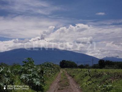 Atlixco, Puebla 74365, Mexico
