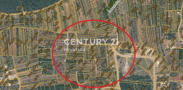 Sveti Filip i Jakov, Turanj, Sveti Filip I Jakov, Zadarska Županija, 克羅地亞