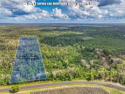 000-3 County Road 308, Crescent City, Floride 32112, États-Unis