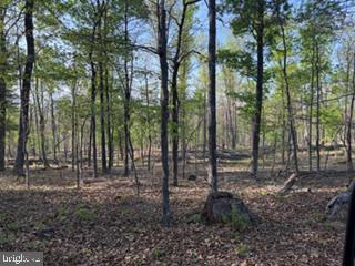 507 Easter Ridge Lane, Winchester, Virginia 22603, USA