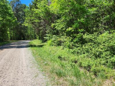 0 Mill-scott Road, Farmville, Virginia 23901, Stati Uniti